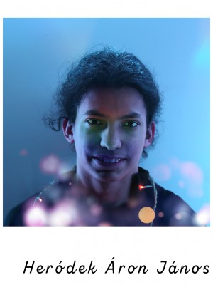Heródek Áron János